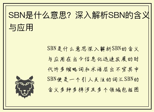 SBN是什么意思？深入解析SBN的含义与应用